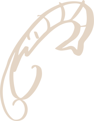 Decorative illustration of a shrimp